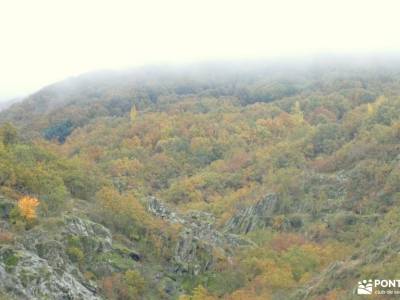 Robledales de Riaza - Ermita de Hontanares; garganta del cares conoce gente castillo de la adrada pu